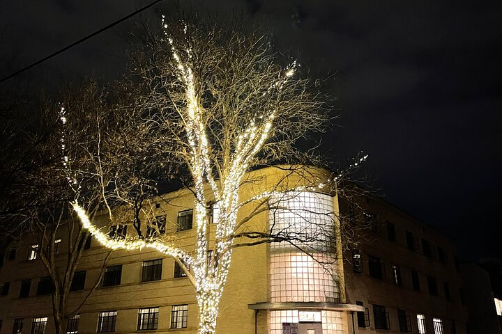 Holiday Lights in Cap Hill 